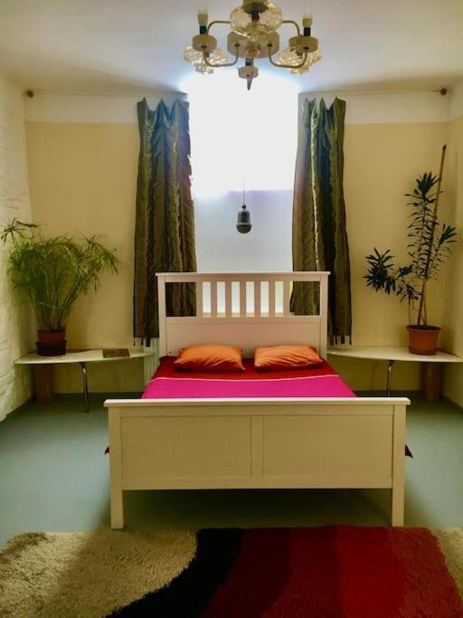 Vintage Studio Apartment, Garden And Free Parking Budapest Exterior photo